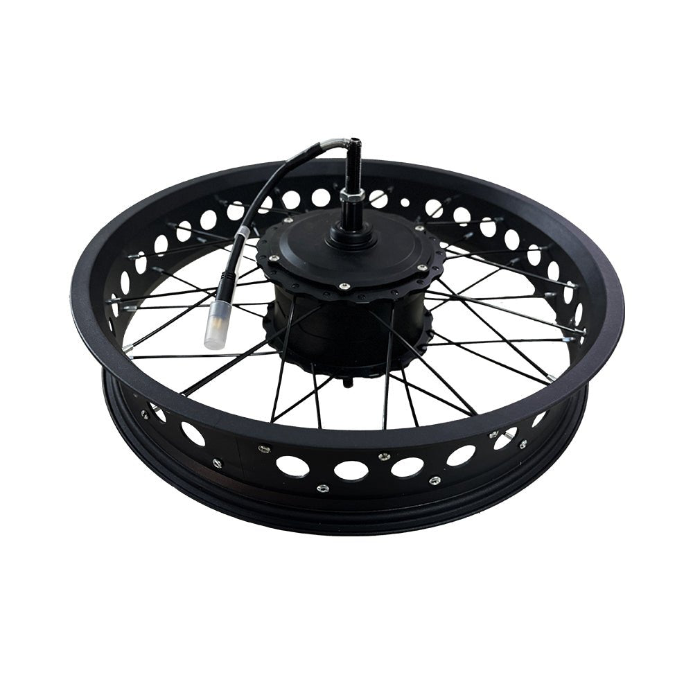Motor With Hub - Drvetion E-Bike