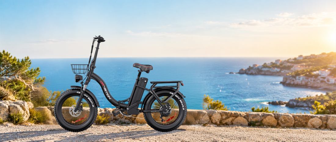 Why Fat-Tire E-Bikes Weigh More? Understanding E-Bike Weight & Performance