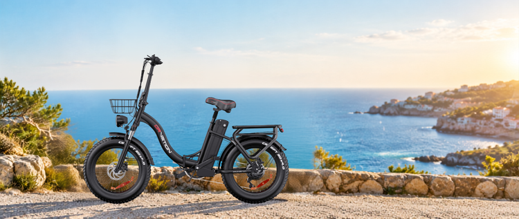 Why Fat-Tire E-Bikes Weigh More? Understanding E-Bike Weight & Performance