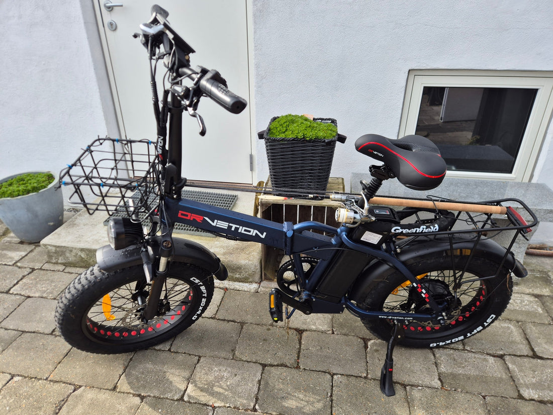 1000W E-Bike in Europe: What You Need to Know