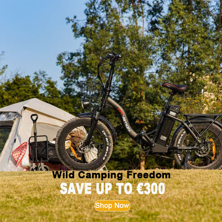 CT20PRO EBIKE